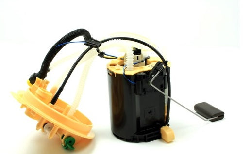 Fuel Pump and Sender RH