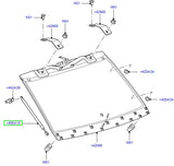 Lift assy - gas - rrs 05-09