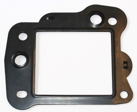 EGR Gasket