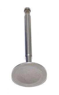 Inlet Valve