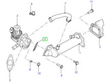 Gasket - egr cooler