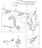 Ferrule