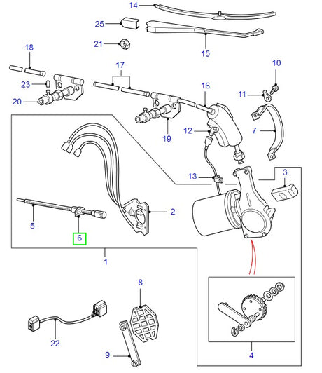 Ferrule