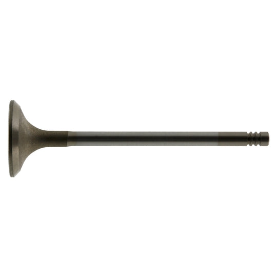 Exhaust Valve - 31.0/5.95MM - Standard - GIEFFE