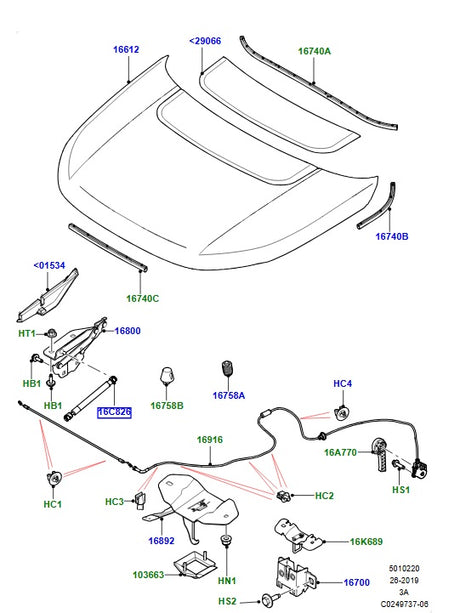 Hood Strut – Gas – PR2 ALLMAKES