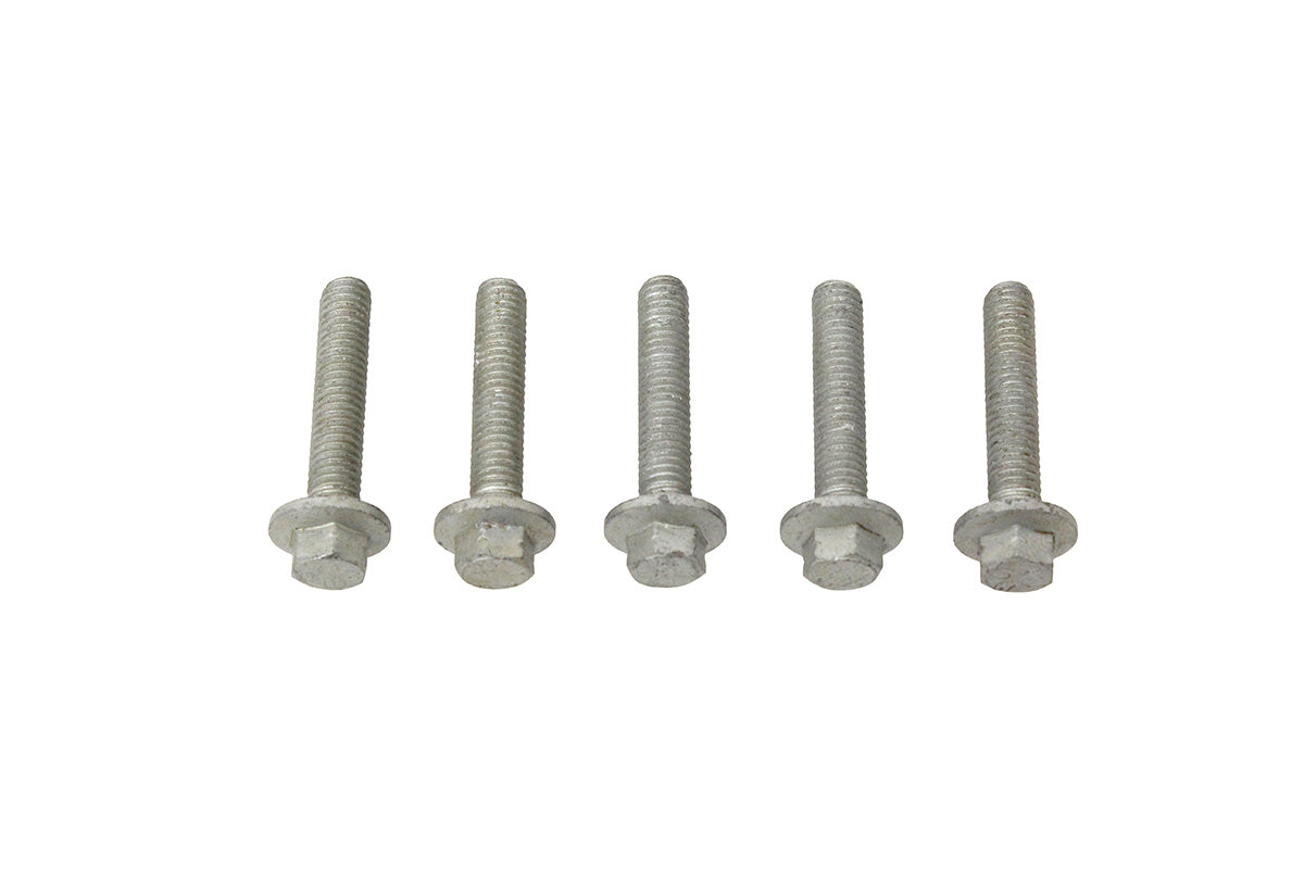Screw