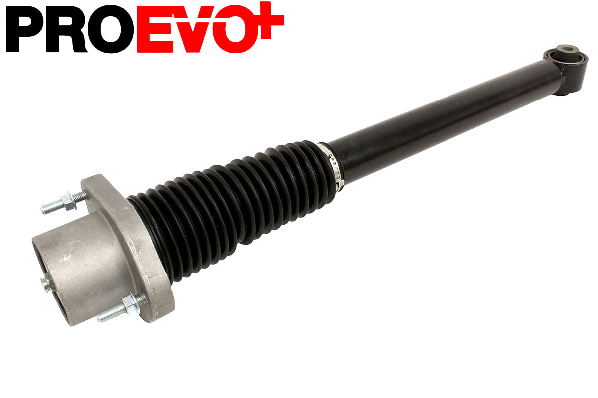 Shock absorber - rear