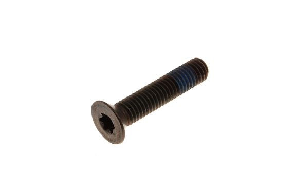 Countersunk Bottom Pivot Screw