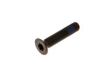 Countersunk Bottom Pivot Screw