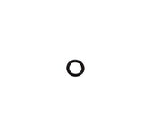 O Ring Fuel Regulator