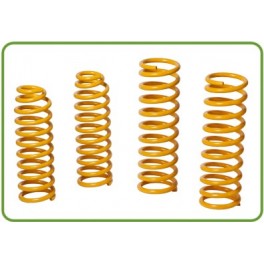 Front Spring IRONMAN CONSTANT LOAD KZJ90-95 (Price per Unit)