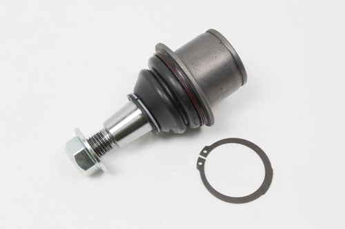 Lower ball joint assy including circlip and nut - DELPHI