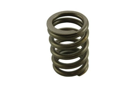 Valve Spring