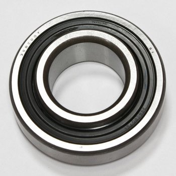 Rear Bearing