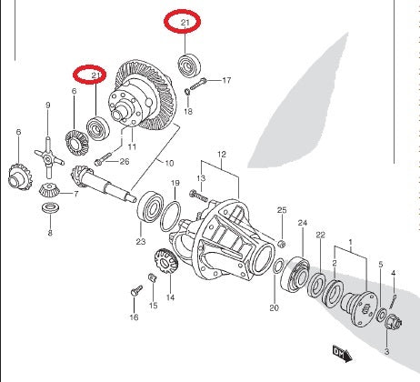 Rear Differential Crown Bearing