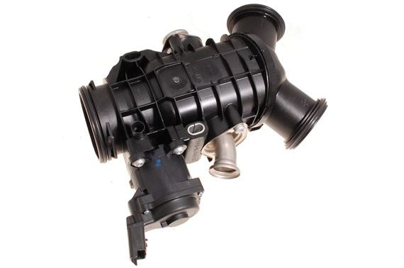 Throttle body and motor