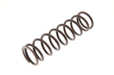 Oil Pump Relief Valve Spring