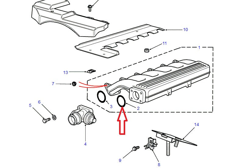 O-ring