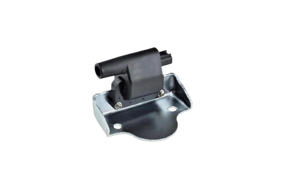 Ignition Coil and Support Assembly - EUROSPARE