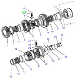 Spring for In & Out Member