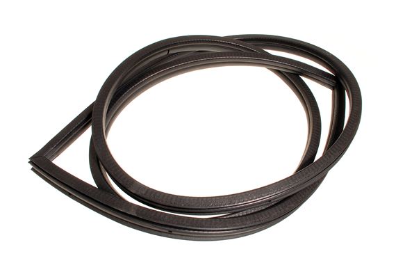 Seal Rear Door Primary LH