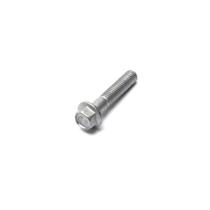 Bolt M5 - Pack of 5 units