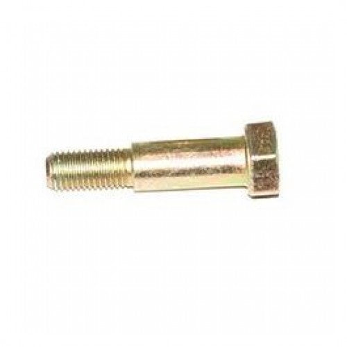 Hinge bolt