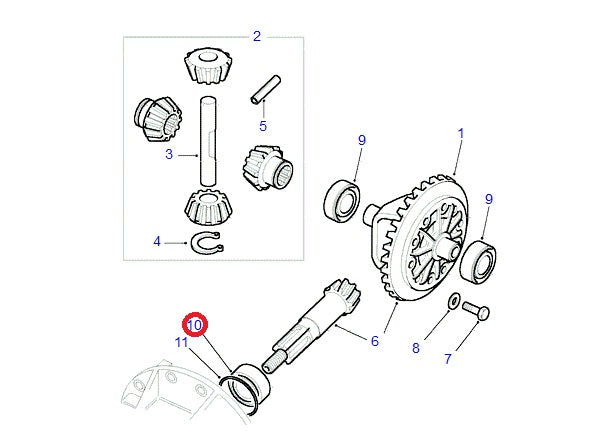 Tapered Bearing - Differential Pinion - TIMKEN