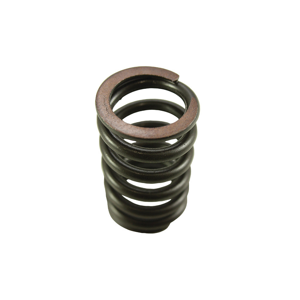 Valve Spring