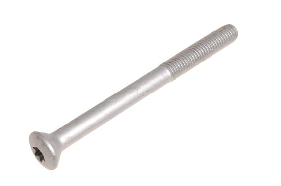Lower Hinge Bolt