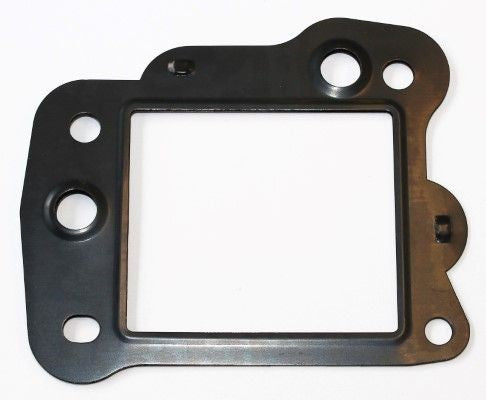 EGR Gasket