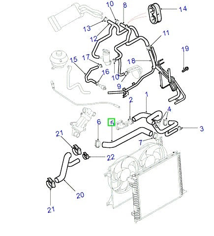 Bottom Hose - ALLMAKES