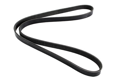 Drive Belt - Auxiliary - 1.8 4 Cyl Petrol - F1 - DAYCO