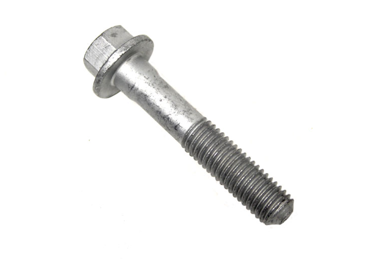 Bolt  M 10 X 55