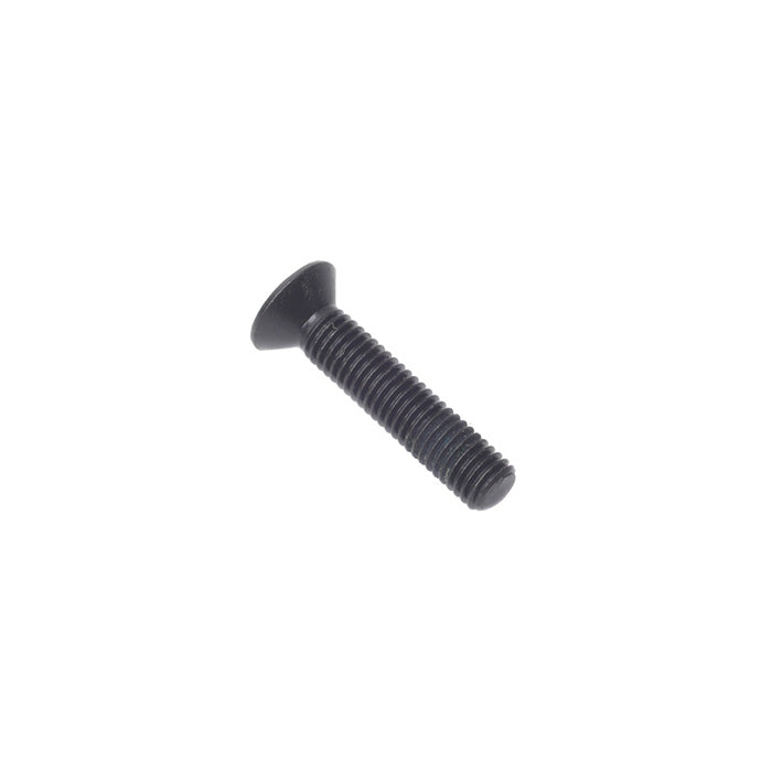 Countersunk Bottom Pivot Screw