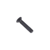 Countersunk Bottom Pivot Screw