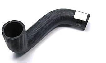 Bottom Hose