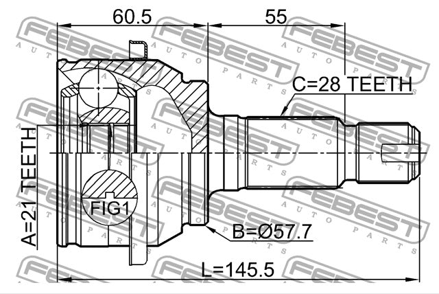 Rear Joint