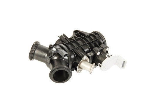 Throttle body and motor