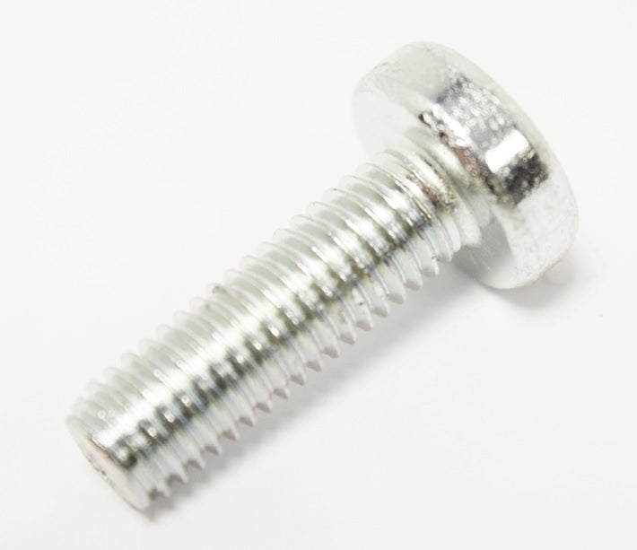 Gate Hinge Screw M8x25