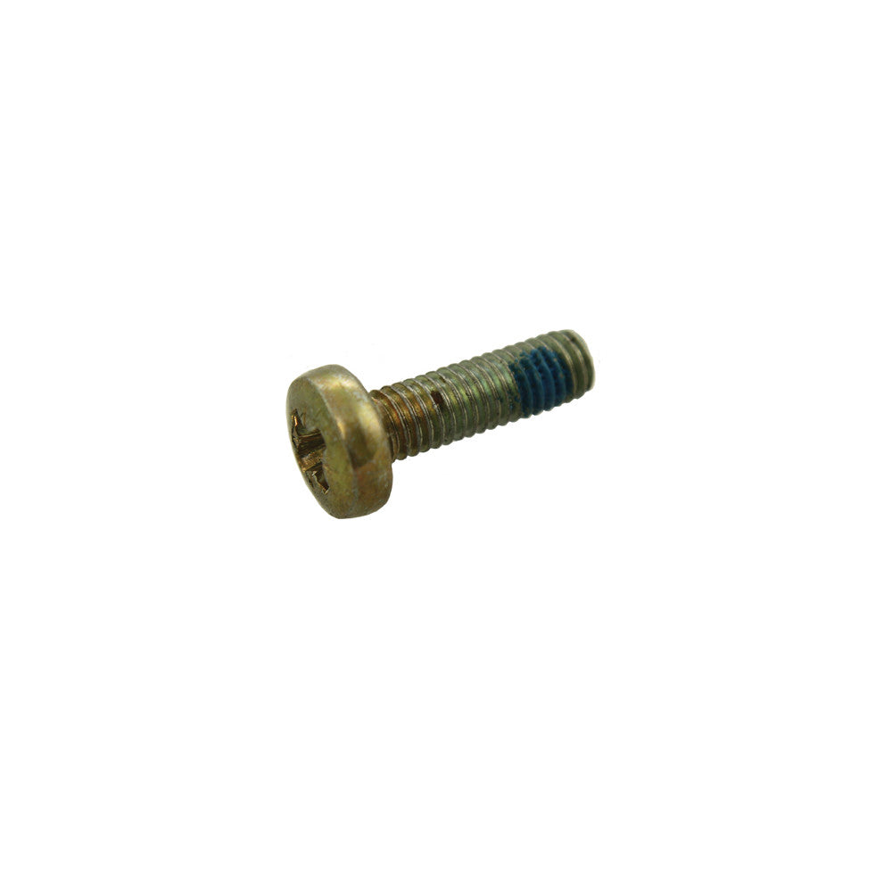 Screw