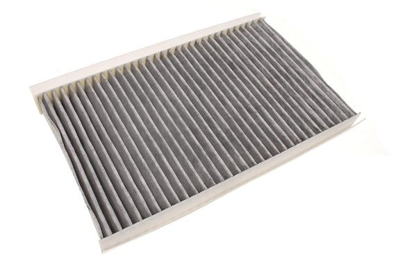 Pollen Filter