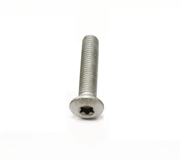 Torx Recessed Bolt - M8x40 - for Front Door Hinge - PR2 ALLMAKES