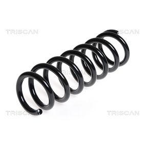 Rear coil spring