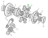 Differential Pinion - Rear Axle