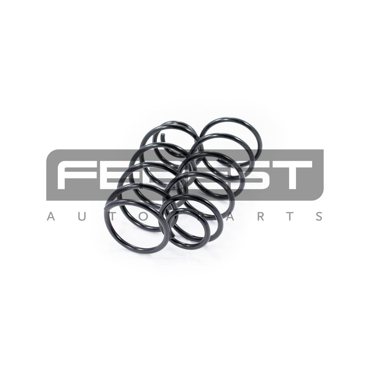 Front coil spring kit