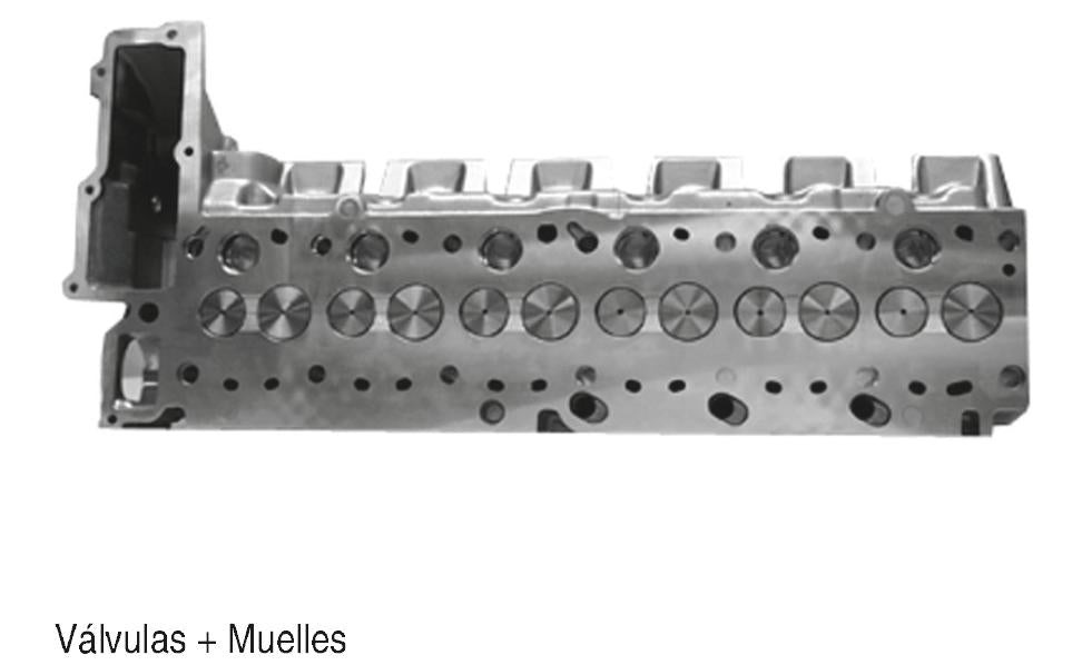 Cylinder head with valves + springs