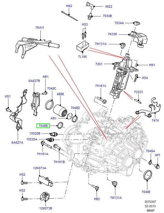 Oil Seal