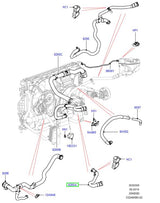 Hose - cooling system