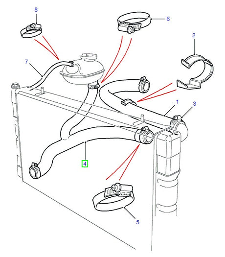 Bottom Hose